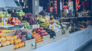 Capa de Artigo: TESOURO IPCA