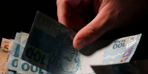 Capa de Artigo: 13 SALARIO